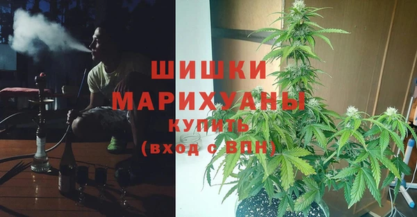 ALPHA-PVP Козловка