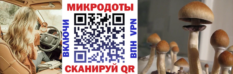 Псилоцибиновые грибы прущие грибы  Купить где  Мариинск 